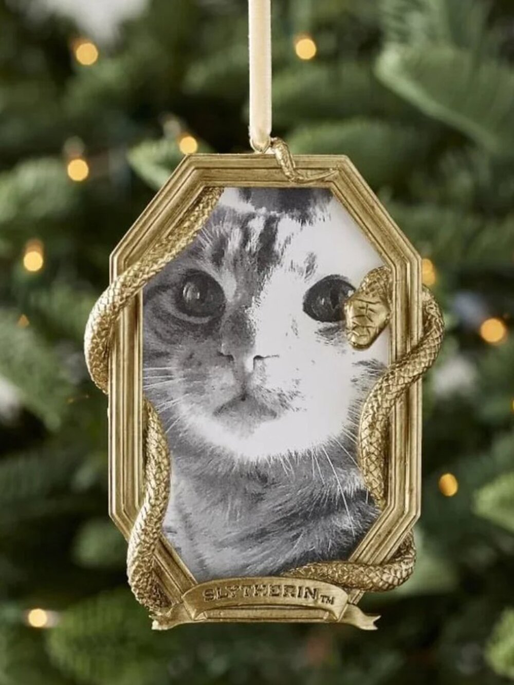 Harry Potter™ Slytherin™ House Photo Frame Ornament Pottery Barn